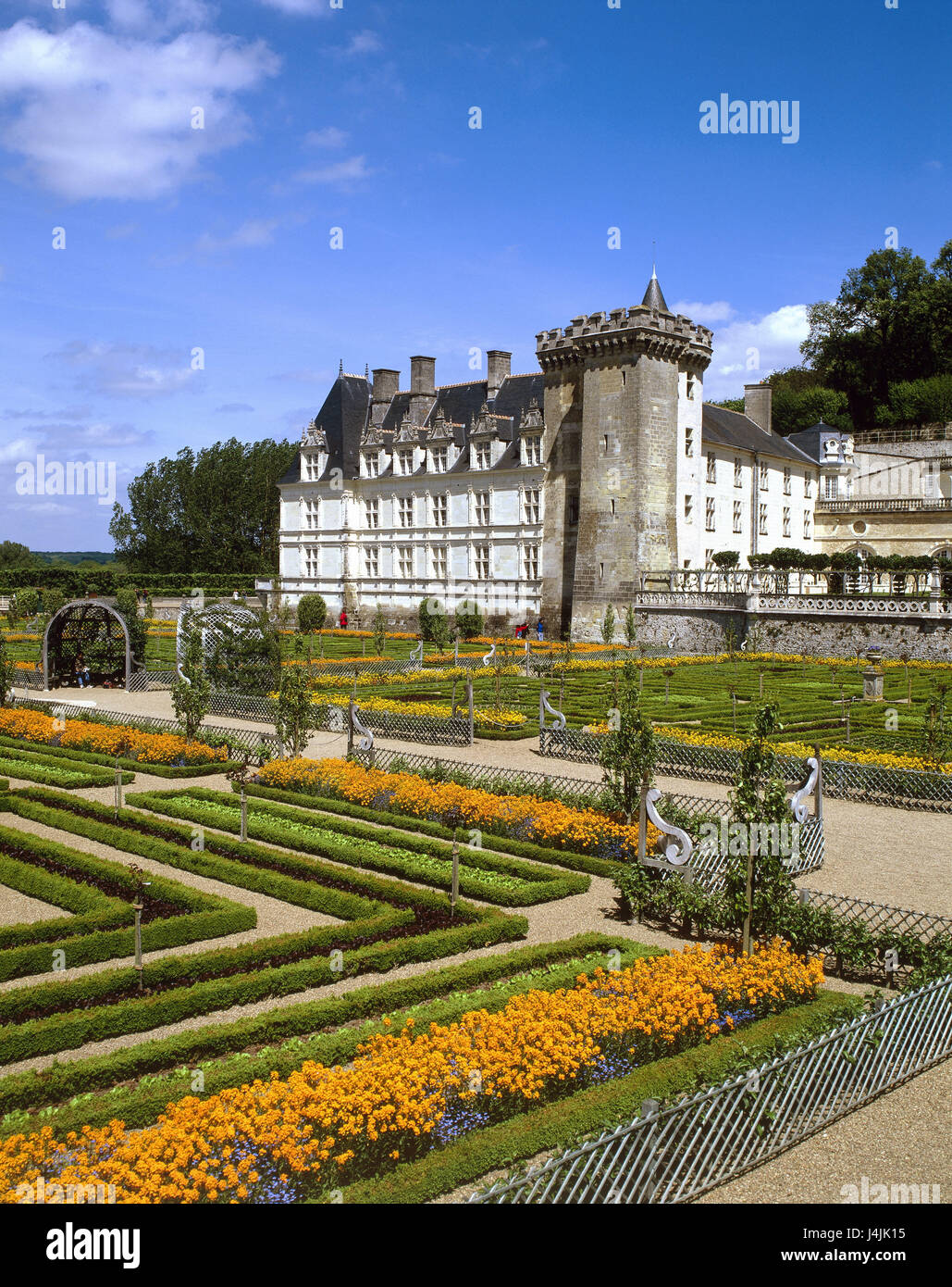 France, Loire, Touraine, Chateau de Villandry, de l'Europe jardin, Département Loiret, région du Centre, avenue V de la Loire, Loiretal, Indre-et-Loire, point d'intérêt, verrouiller, lap attachment, construit en 1536, le jardin Renaissance, jardin, jardins, de la Renaissance, le jardin ornemental, parc, parc du château, les plantes, la plantation, la décoration, le monument Banque D'Images