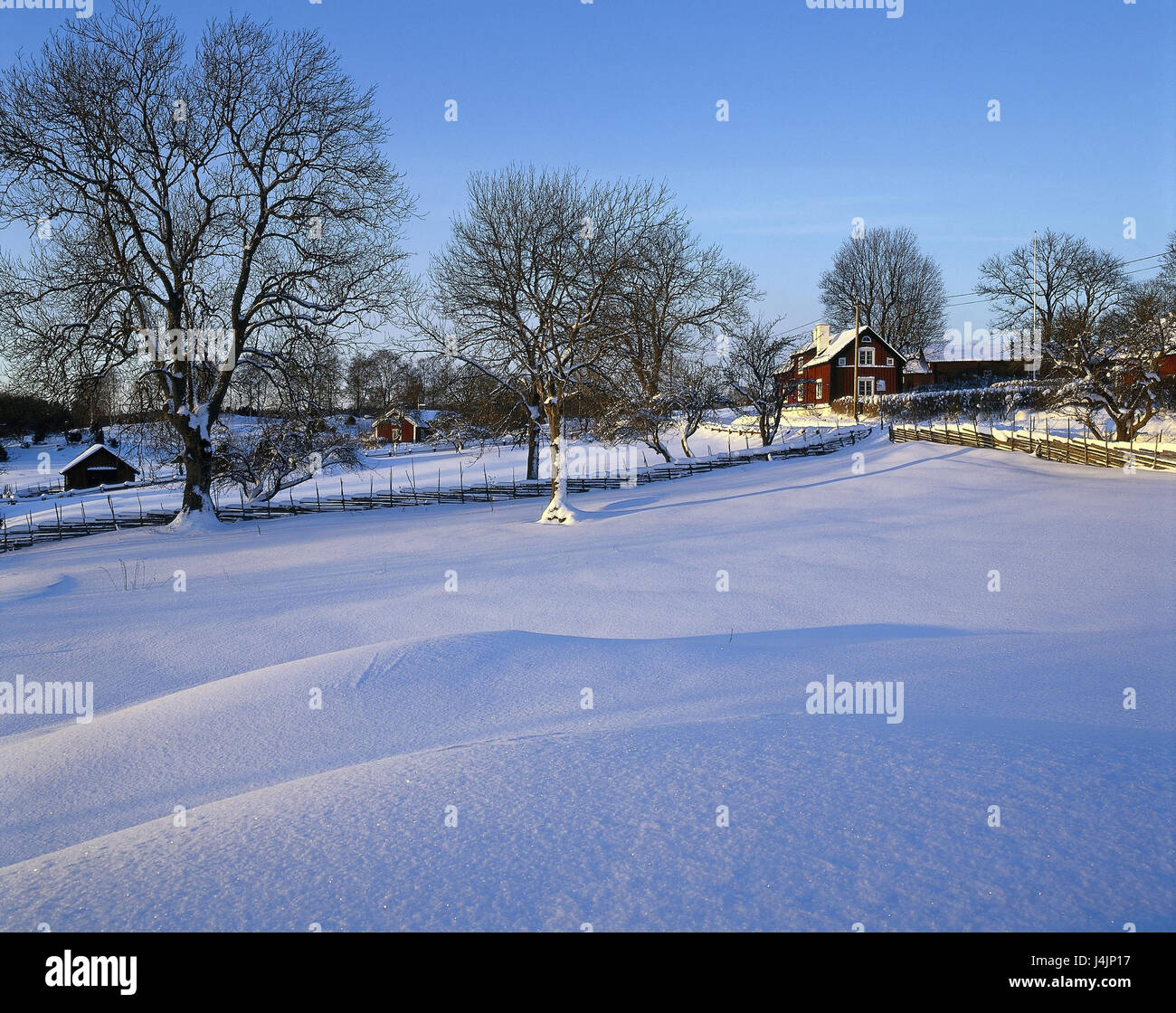 La Suède, l'Uppland, par Länna, paysage d'hiver, lumière du soir à l'extérieur, hiver, Scandinavie, maisons, maisons bois, neige Banque D'Images