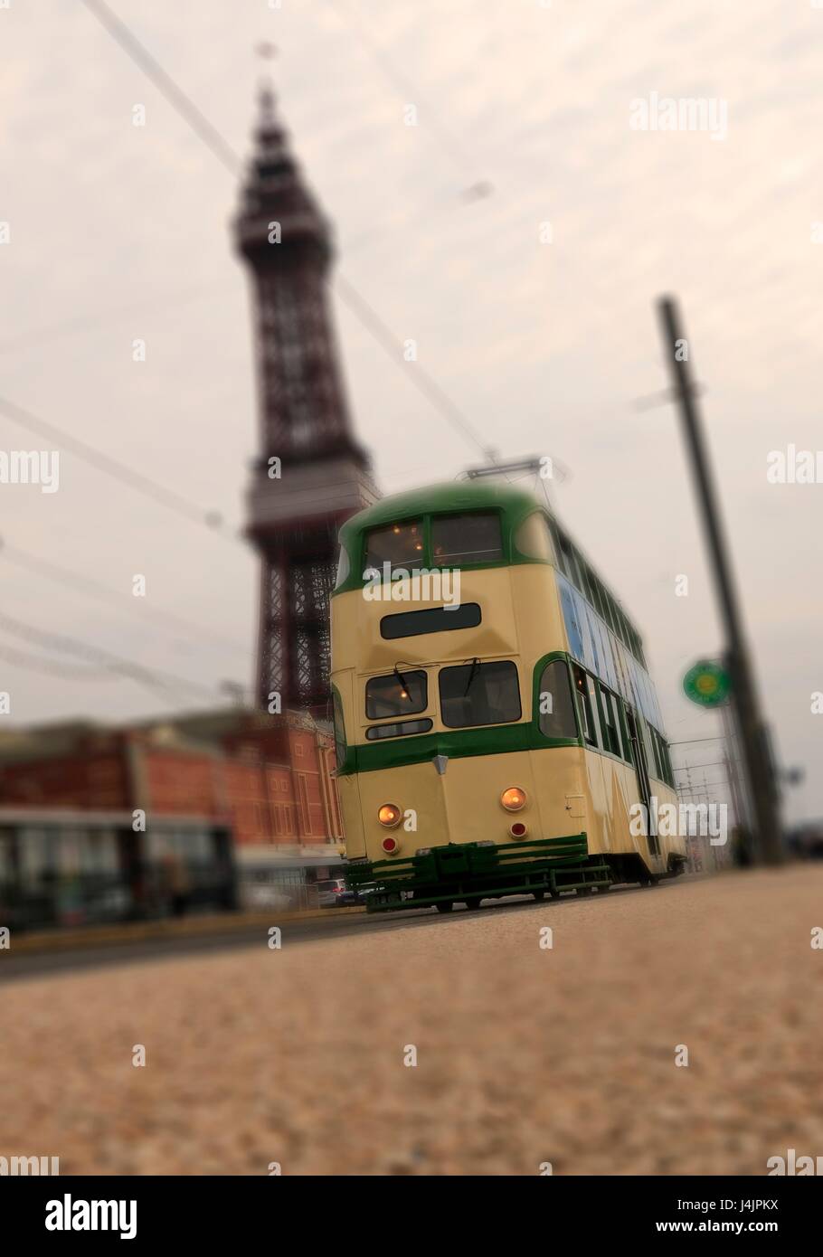 Tramway avec en arrière-plan La tour de Blackpool, Blackpool, England, UK. Banque D'Images