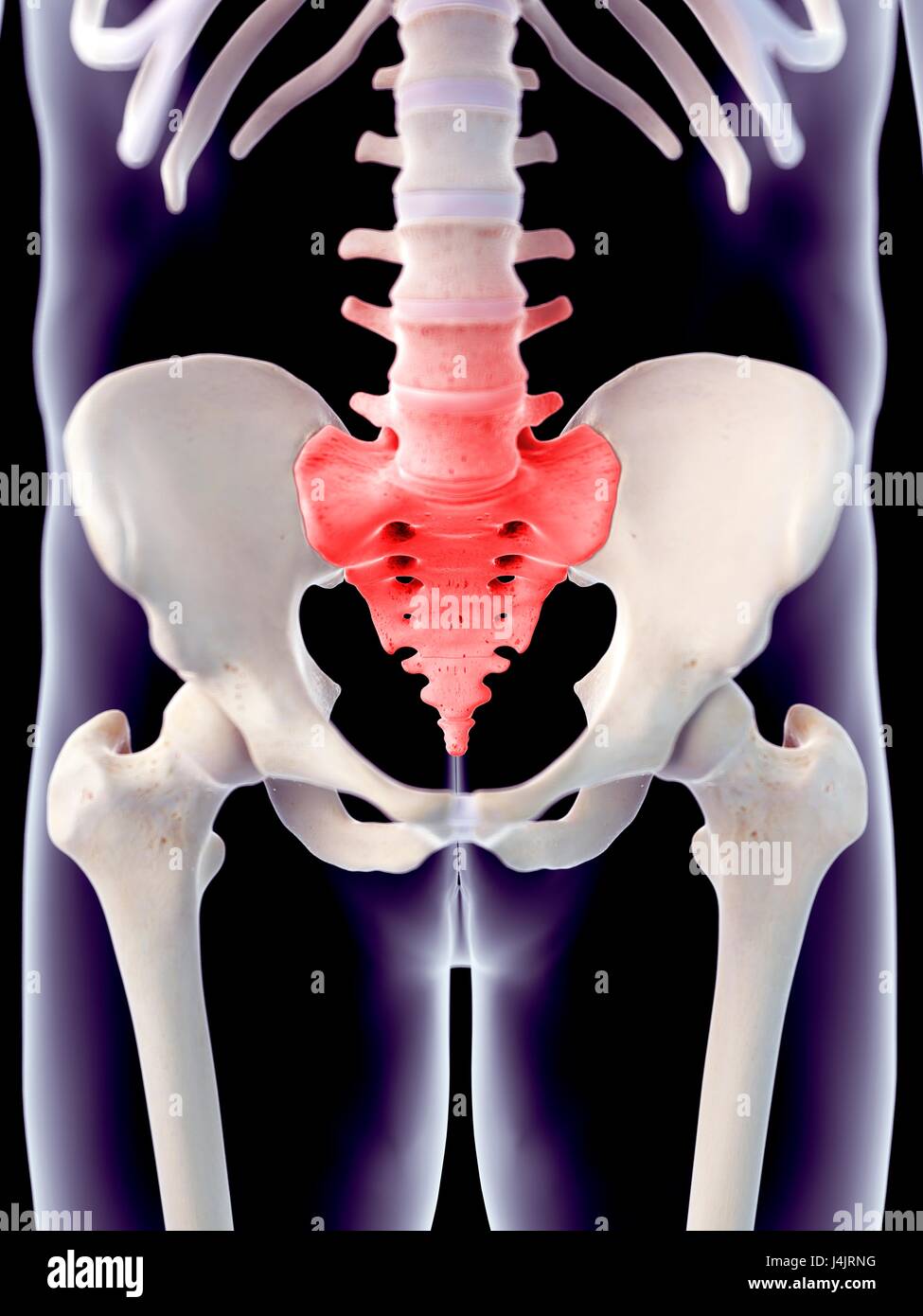 Douleur du sacrum humain Banque de photographies et d’images à haute résolution Alamy