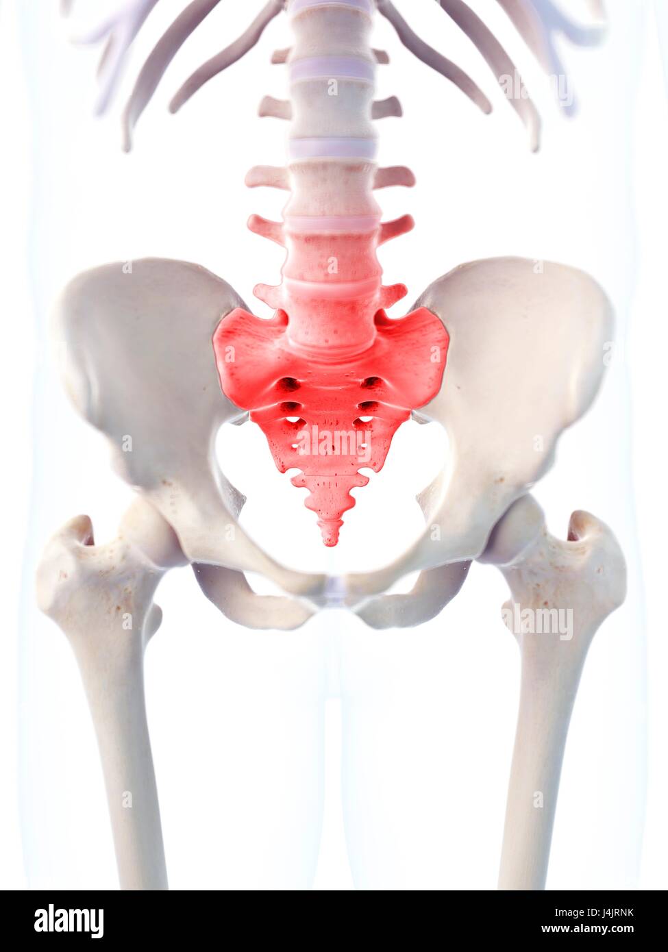Douleur du sacrum humain Banque de photographies et d’images à haute résolution Alamy