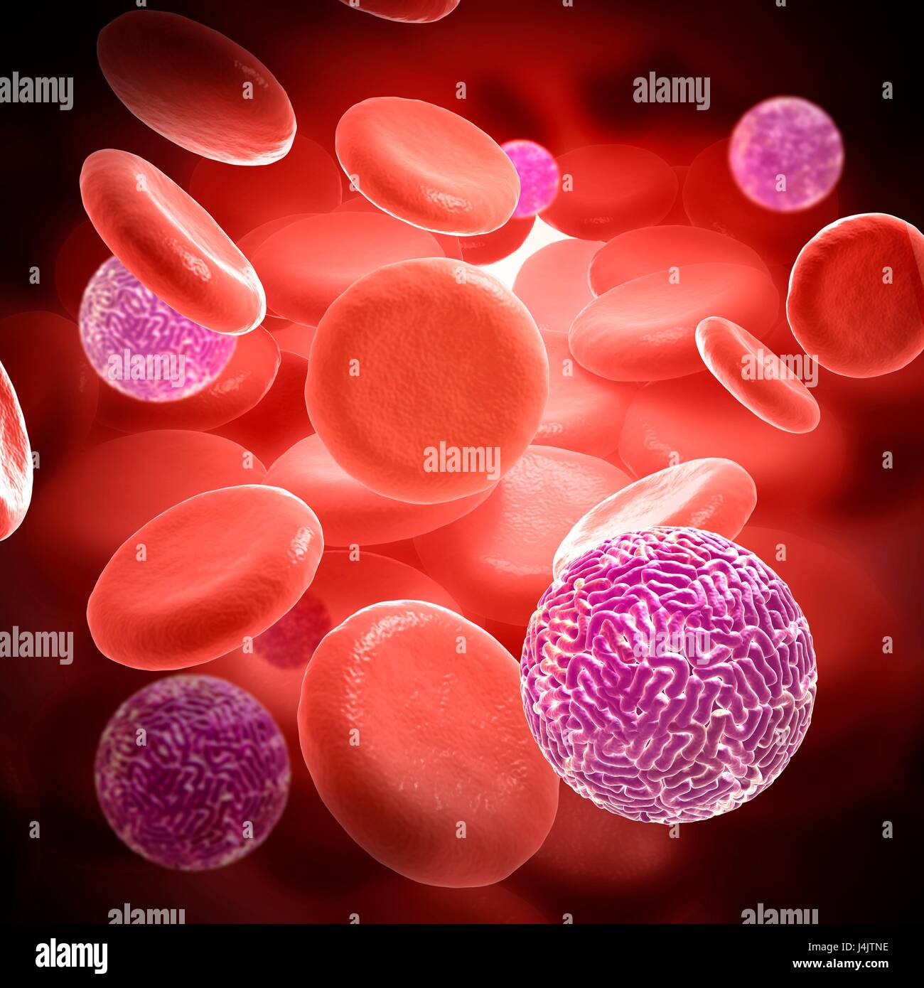 Illustration de particules de virus Sindbis dans le sang. Banque D'Images