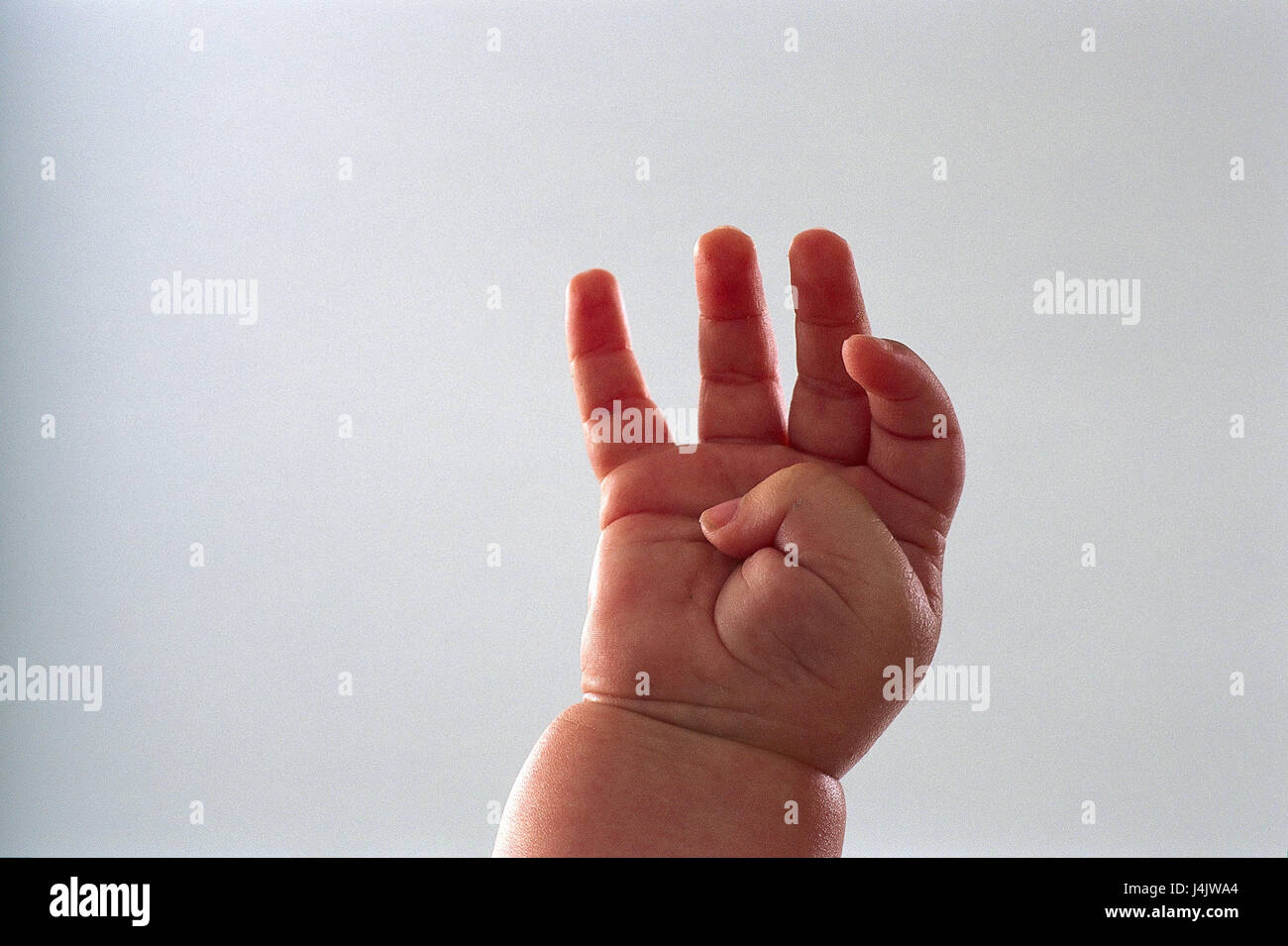 La main de bébé très étroitement, enfant, bébé, nourrisson, des membres, de  la main, doigts tendus, bébé, doigt, pollex, petit, doucement, studio,  Frei's plate Photo Stock - Alamy