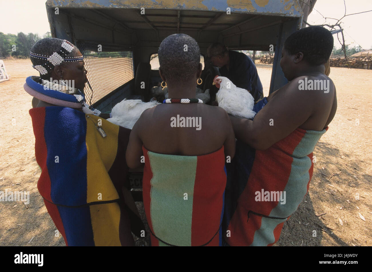 L'Afrique du Sud, village Ndebele, camion de livraison, les femmes, les non-blancs, vue arrière le modèle ne libération RSA, Afrique, Afrique du Sud, Transvaal-Ndebele, bantou, les Africains, vêtements, bijoux, traditionnellement, la pintade, la volaille, les ventes Banque D'Images