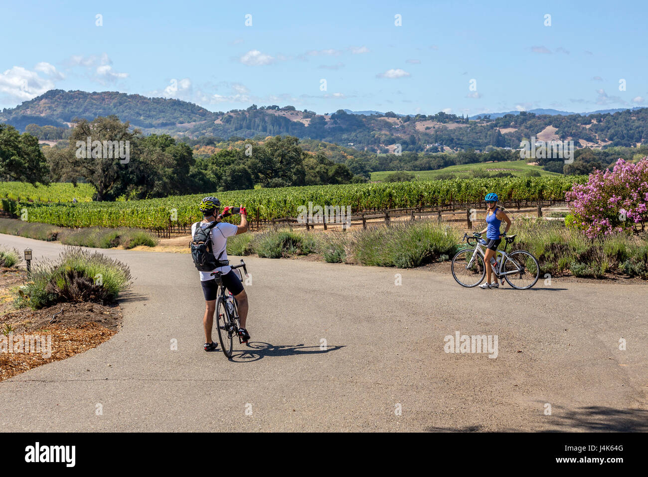 Les touristes, couple, tour en vélo, entreprise vinicole Hanna, Healdsburg, Alexander Valley, Sonoma County, Californie Banque D'Images Les touristes, couple, tour en vélo, entreprise vinicole Hanna, Healdsburg, Alexander Valley, Sonoma County, Californie Banque D'Images