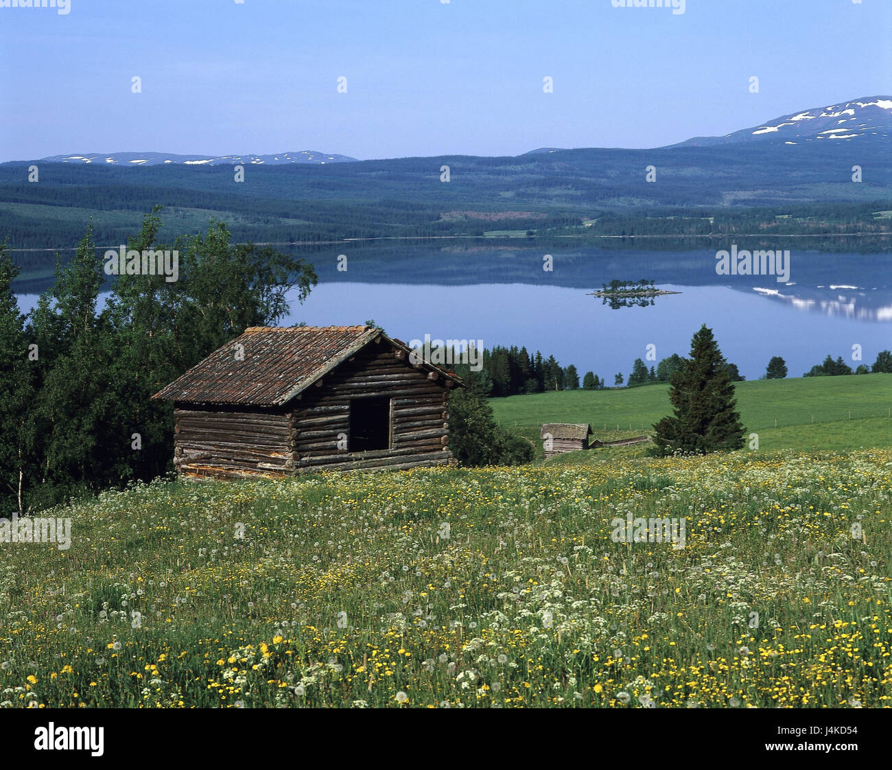 La Suède Jämtlands Län, ares, Kallsjön, près de la mer, paysage, prairie de fleurs, cabane en bois en Scandinavie, été, lac, paysage, Jämtland Banque D'Images