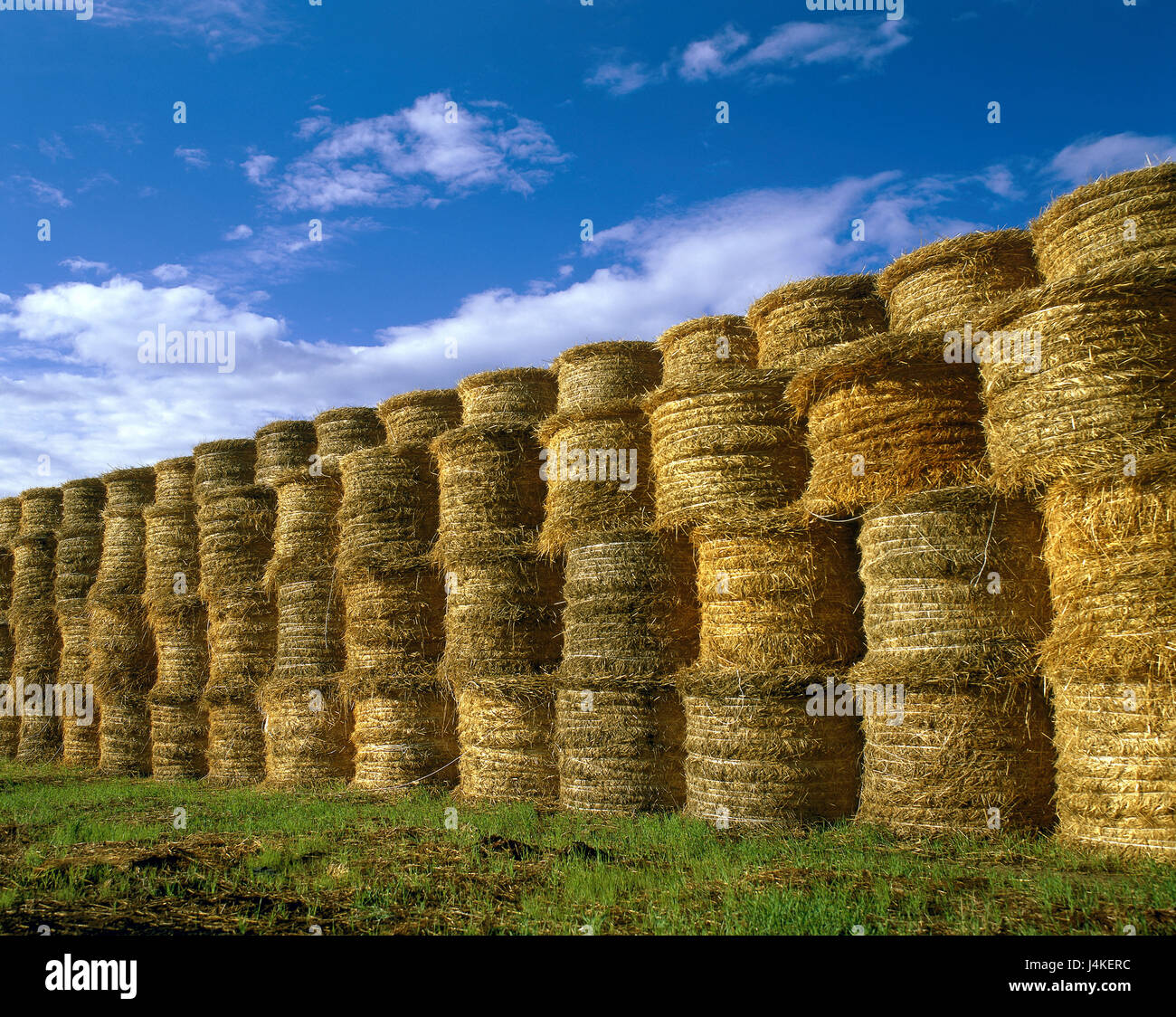 Italie, Toscane, Crète, de balles rondes de paille, empilées l'Europe, prairie, champ, récolte de paille, paille, balles rondes, botte de paille, la récolte, le temps de récolte, de l'agriculture, l'économie, l'économie de terrain, lot, l'un contre l'autre, l'un sur l'autre Banque D'Images