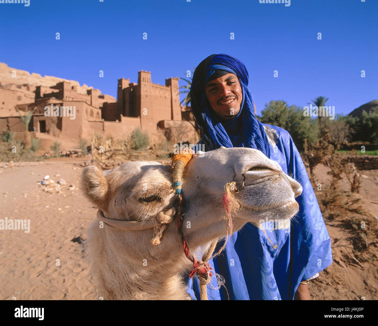 Le Maroc, l'atlas, Targi, vêtements, turban, bleu, camel, détail modèle ne libération Afrique, atlas, montagnes, haut atlas, village de montagne, NOMAD, nomad du berger, l'homme, Touareg, Imuschag, voir l'appareil photo, tradition, traditions, animal, mammifère, équitation animal, bête de somme, des animaux à sabots fendus, Schwielensohler Banque D'Images