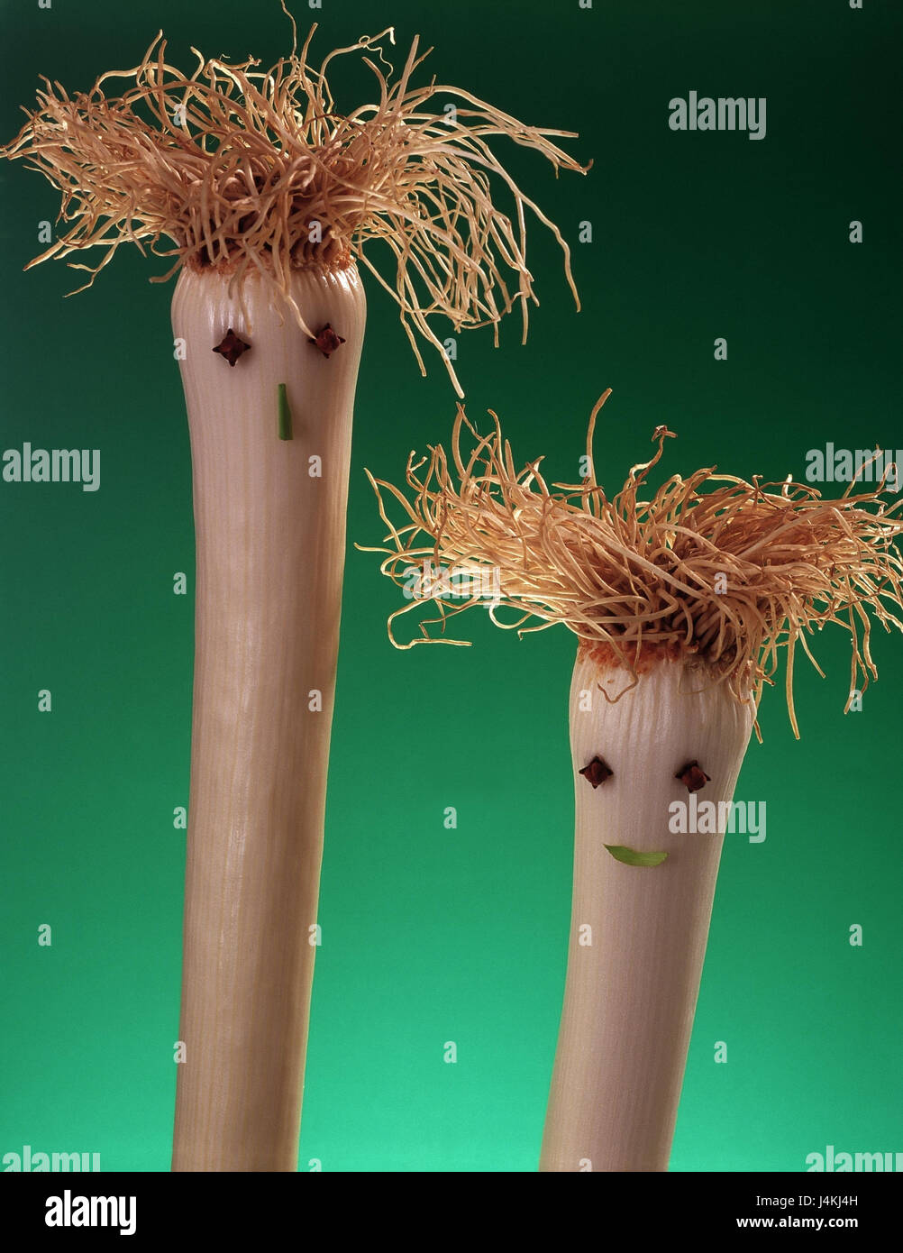 Poireau, détail, racine, regarder la photographie d'objets, de poireau, de l'arbuste, poireau, deux bâtons, nodule, ampoule, légumes, nutrition, sain, riche en fibres, le fourrage grossier, d'arrière-plan vert, still life Banque D'Images