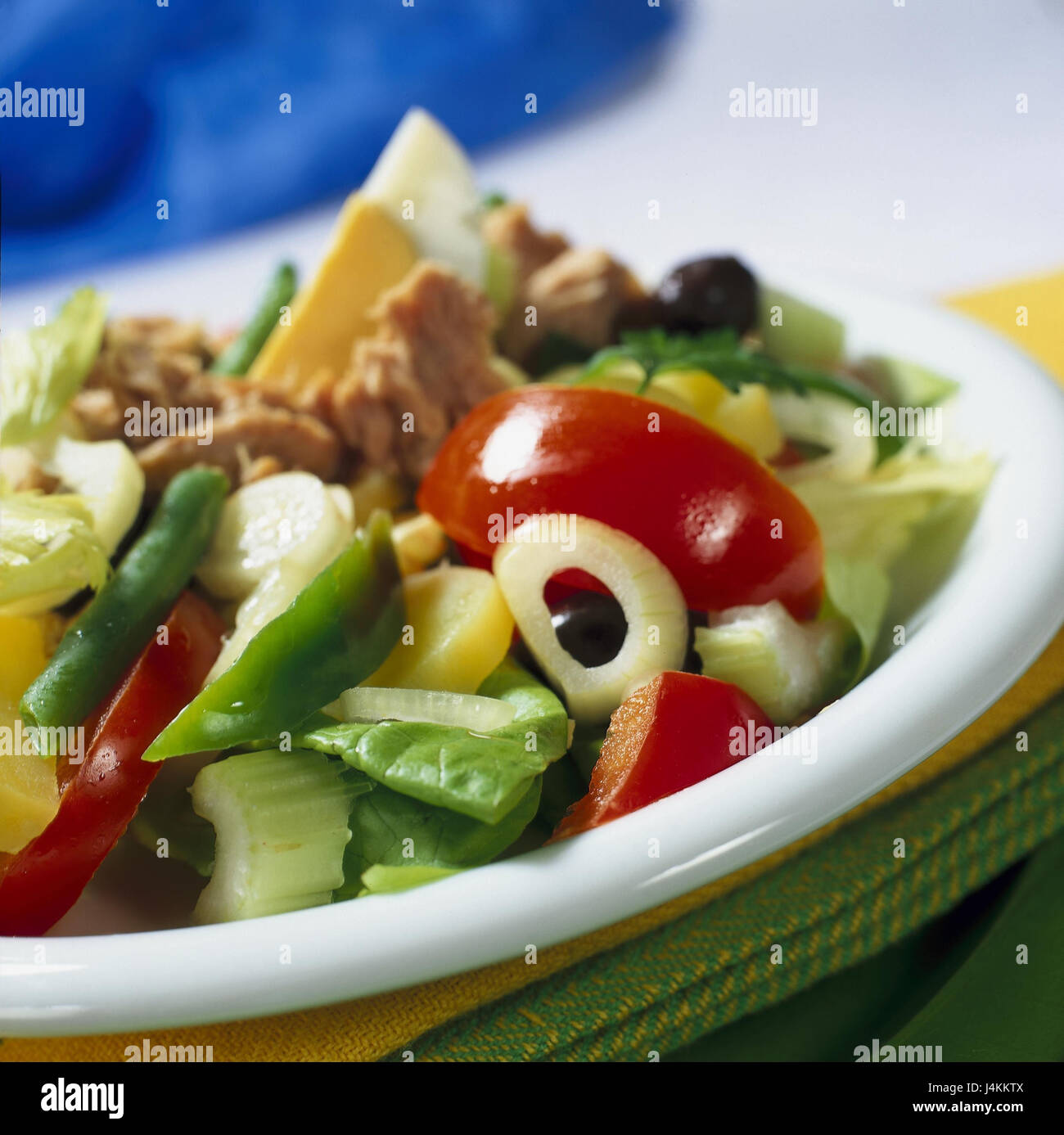 Plaques, Nice, salade de vivre tranquillement détail, salade, assiette de salade, plus fusionnés, thon, pommes de terre, œuf, tomates, olives, oignons, paprika, salade verte, les ingrédients, nutrition, santé, vitamines, riches en vitamines, les légumes, les sortes Banque D'Images