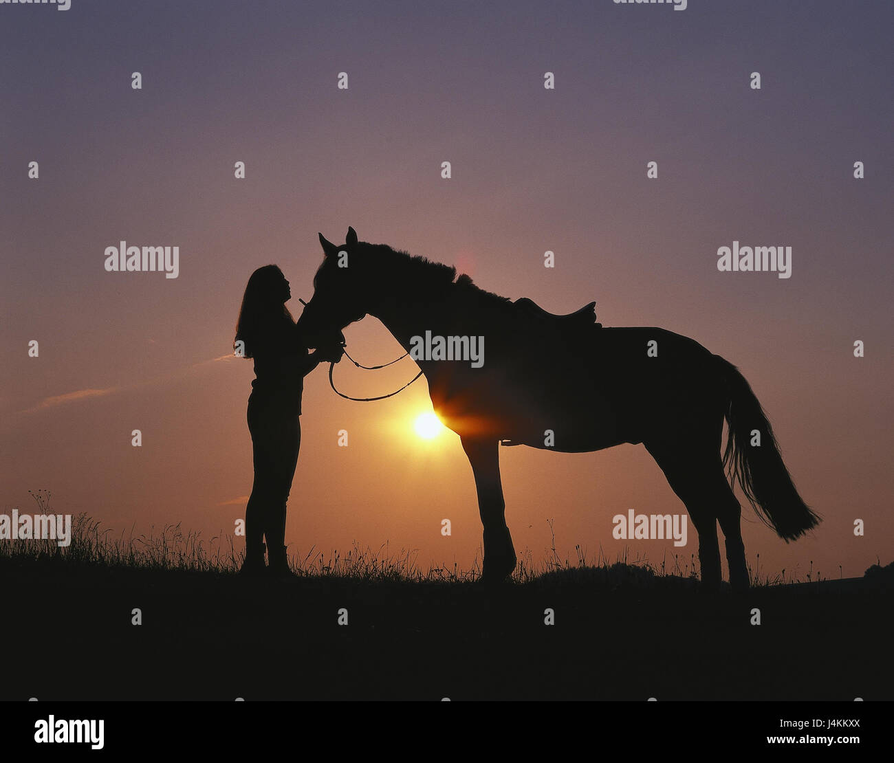 Cheval, femme, debout, silhouette, course à l'extérieur, le soir au coucher du soleil, le soir, le soleil de réglage, d'incandescence, cavalier, cheval, équitation, courses de chevaux, d'optimisation, de silhouette, temps libre, fille, tête, Banque D'Images