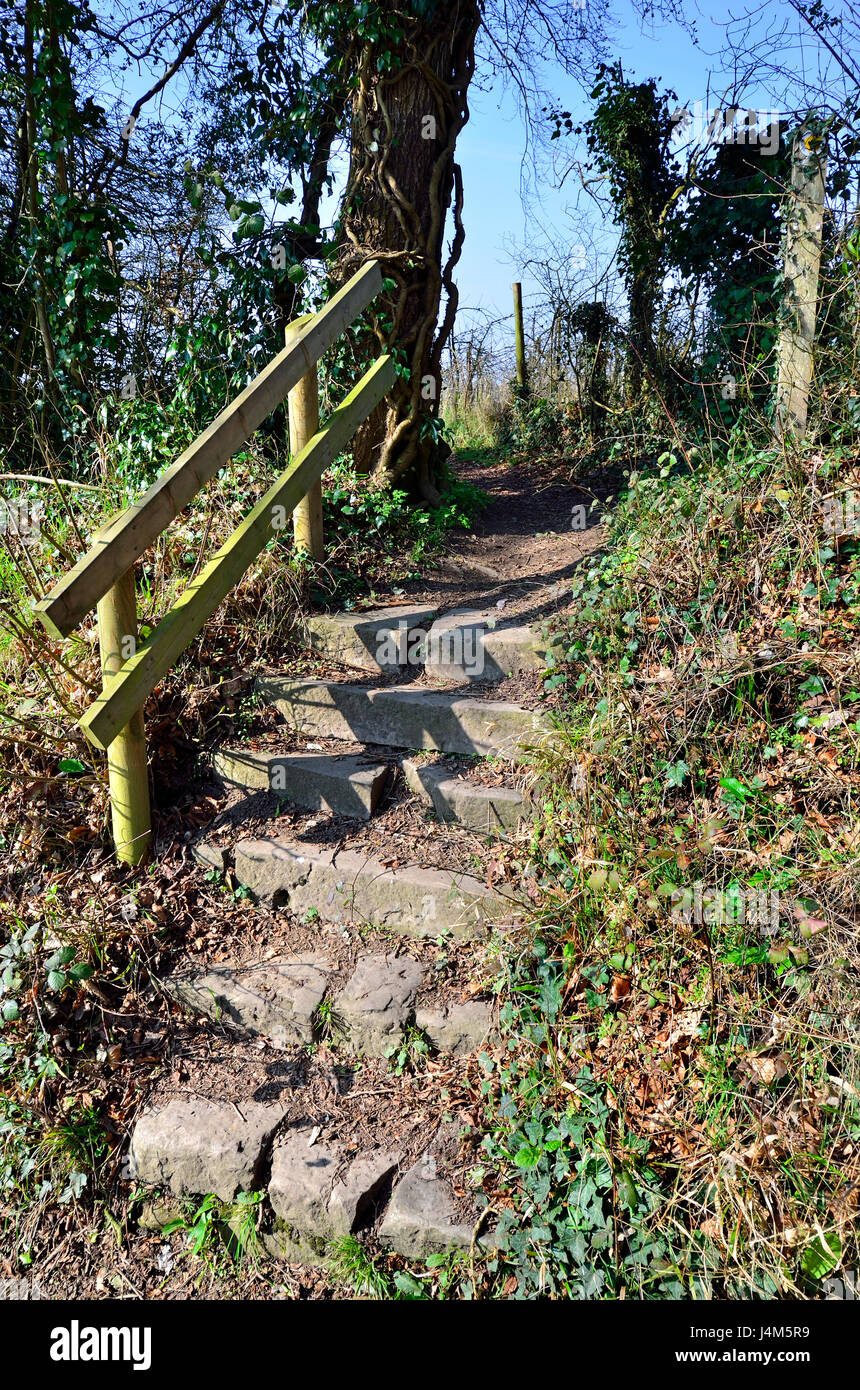 Mesures rurales dans la campagne avec rampes en bois. Boughton Monchelsea Village, Kent, Angleterre Banque D'Images