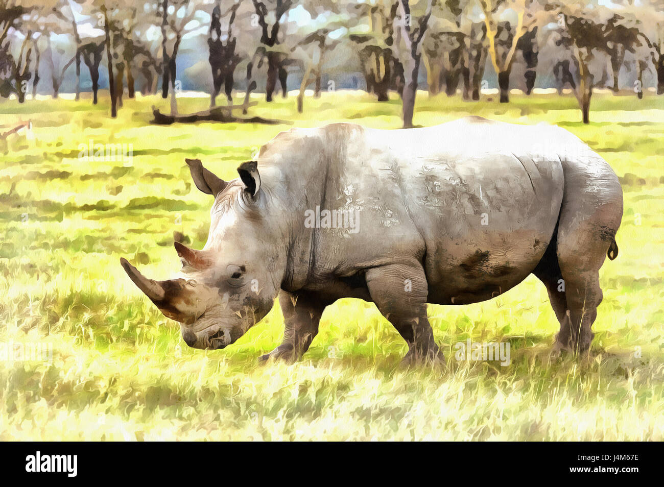Le rhinocéros blanc (Ceratotherium simum) peinture colorée, Parc national du lac Nakuru, Kenya Banque D'Images