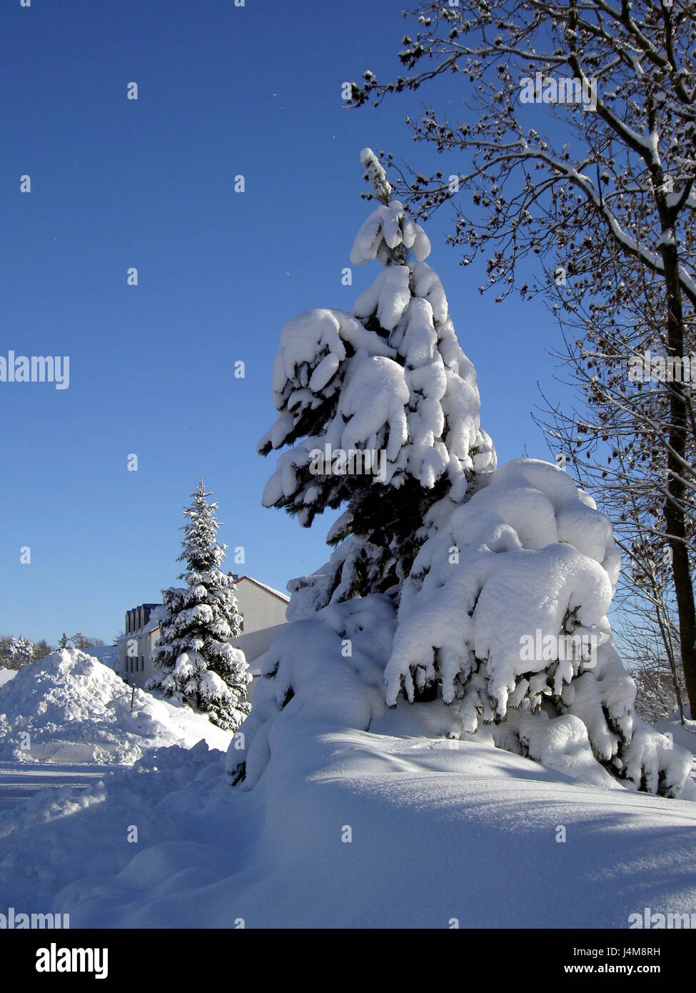 Paysage d'hiver en Autriche Banque D'Images