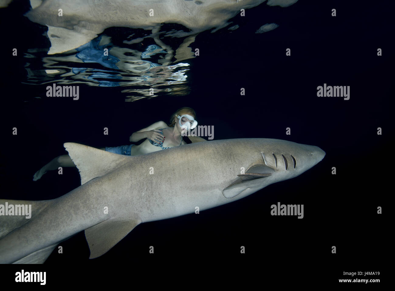 Belle jeune femme nage dans la nuit avec un requin - requins nourrice fauve (Nebrius ferrugineus), de l'Océan Indien, les Maldives Banque D'Images