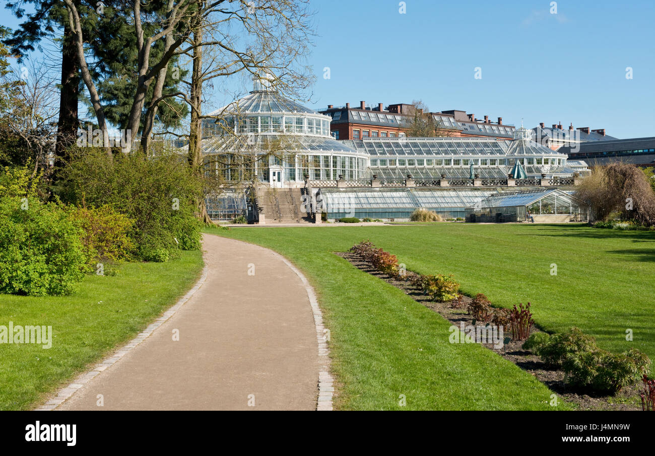 Palm house dans les jardins botaniques royaux, à Copenhague, Danemark Banque D'Images