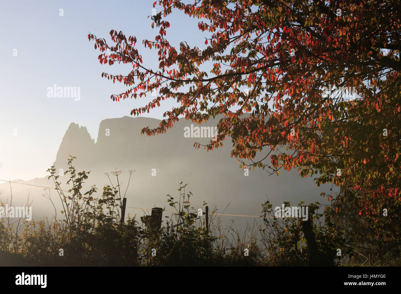 L'Italie, Tyrol du Sud, aux manèges, montagne Schlern, brume, l'automne, Banque D'Images