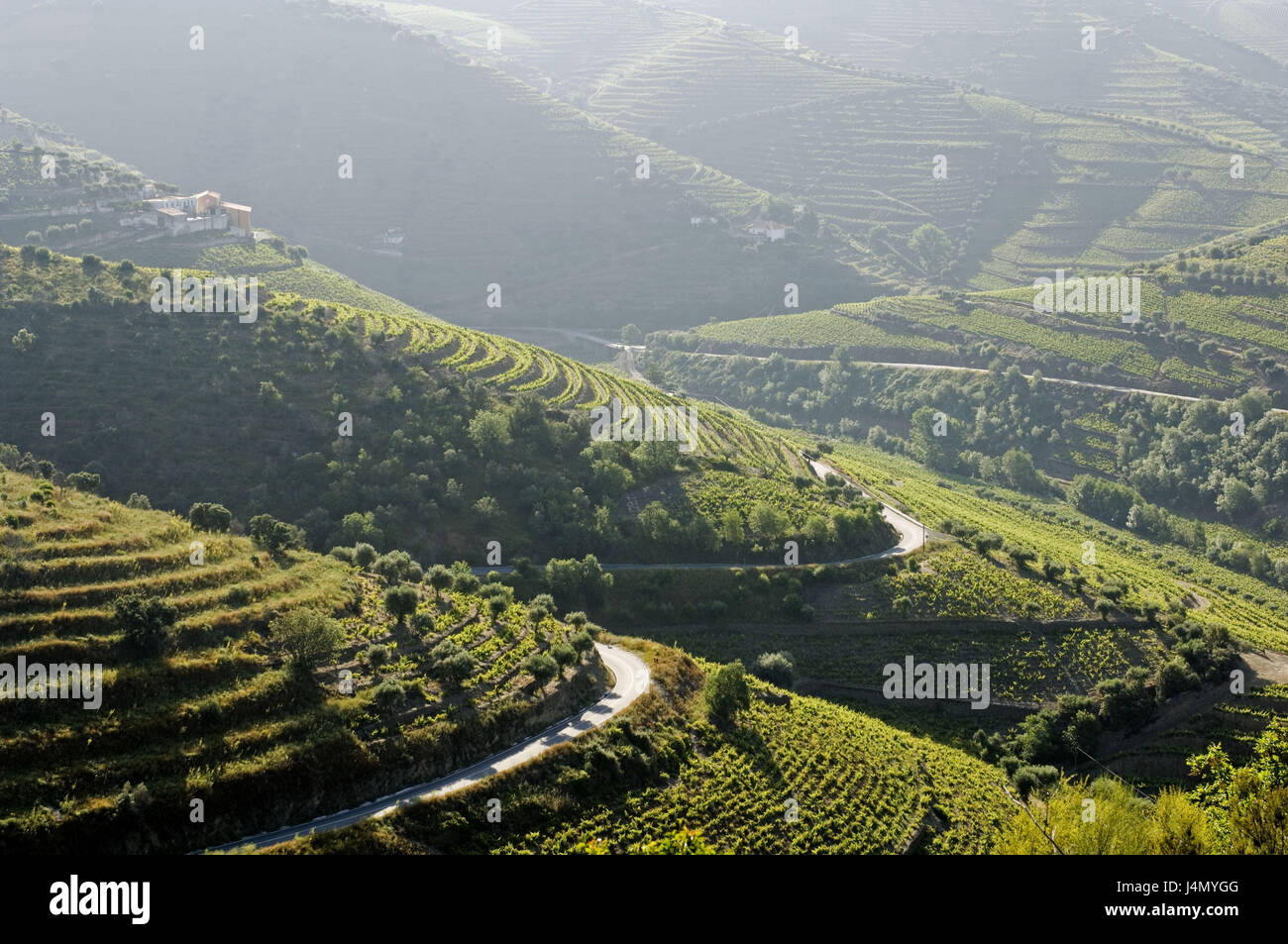 Ferme, champs, vallée du Douro, Portugal, Banque D'Images