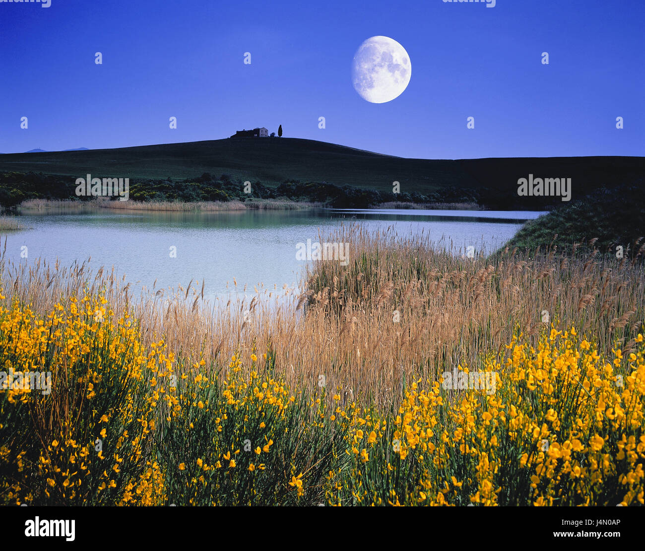 Italie, Toscane, Orciatal, paysage, lac, lune, [M], la nature, les arbres, en général, typiquement pour des pays, de la végétation, port, fleurs, herbe, collines, de largeur, de distance, de l'atmosphère, déserte, [M] Banque D'Images