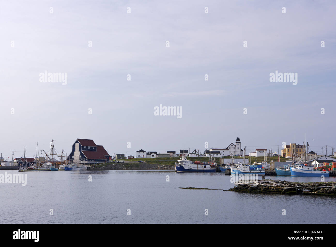 Le Canada, Terre-Neuve, Bonavista, vue sur le port, Banque D'Images