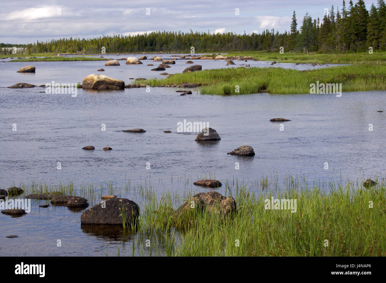 Le Canada, Terre-Neuve, Salmon River, paysages, Banque D'Images