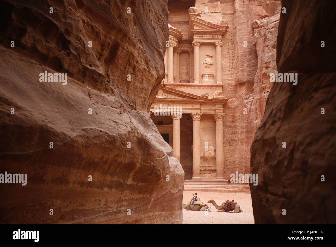 Le Moyen Orient, la Jordanie, Petra, maison du trésor, chameaux, Banque D'Images