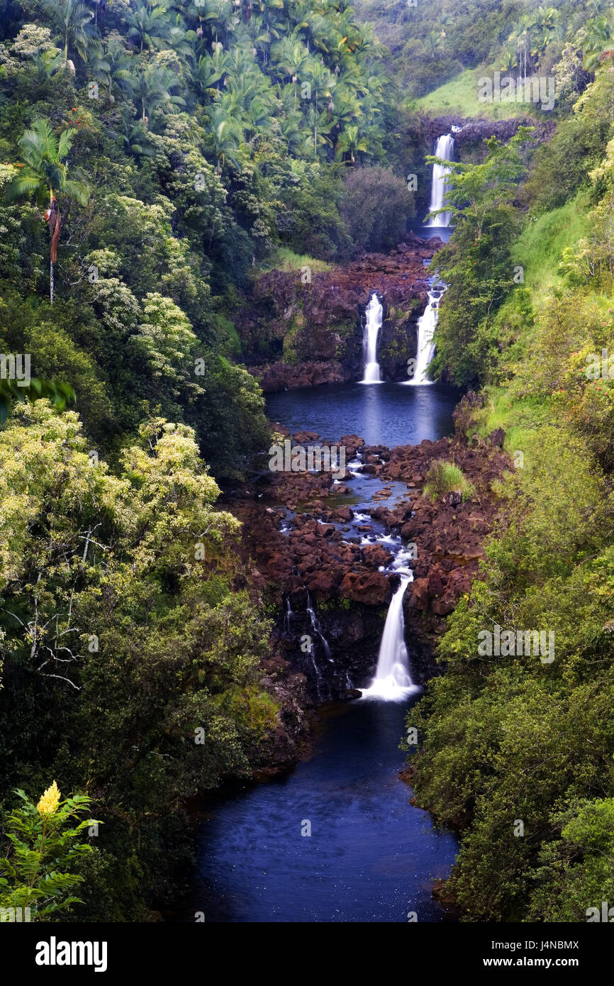 Les USA, New York, Big Islande, Hamakua Coast, Kahuna de cas, cascade, les îles Hawaï, le paysage, la nature, la végétation, les plantes, cascades, l'eau, Banque D'Images