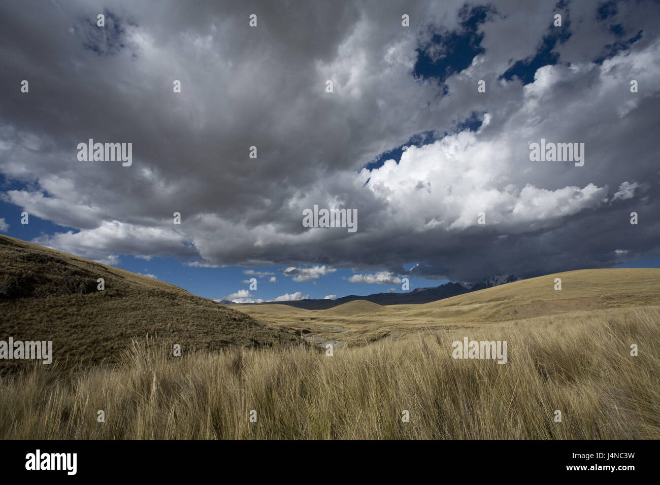 Le Pérou, la Cordillera Blanca, Caullaraju, montagnes, ciel nuageux, herbe Banque D'Images