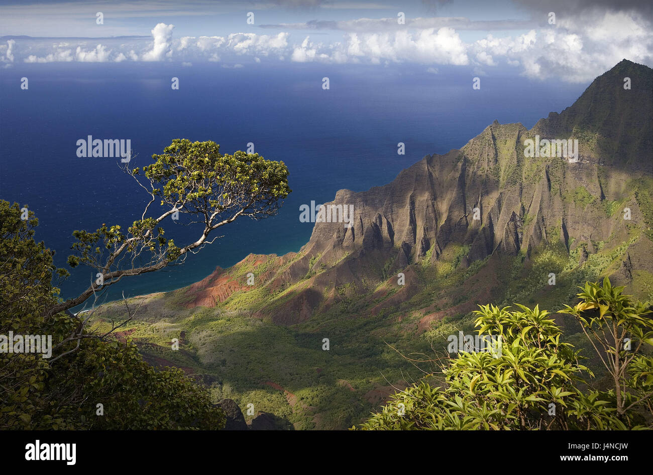 Les USA, Hawaii, l'Islande, Kawai Napali Coast, paysage, vue, les îles Hawaï, les nuages, la mer, la largeur, la distance, paysages côtiers, montagnes, rochers, végétation, ombre, Banque D'Images