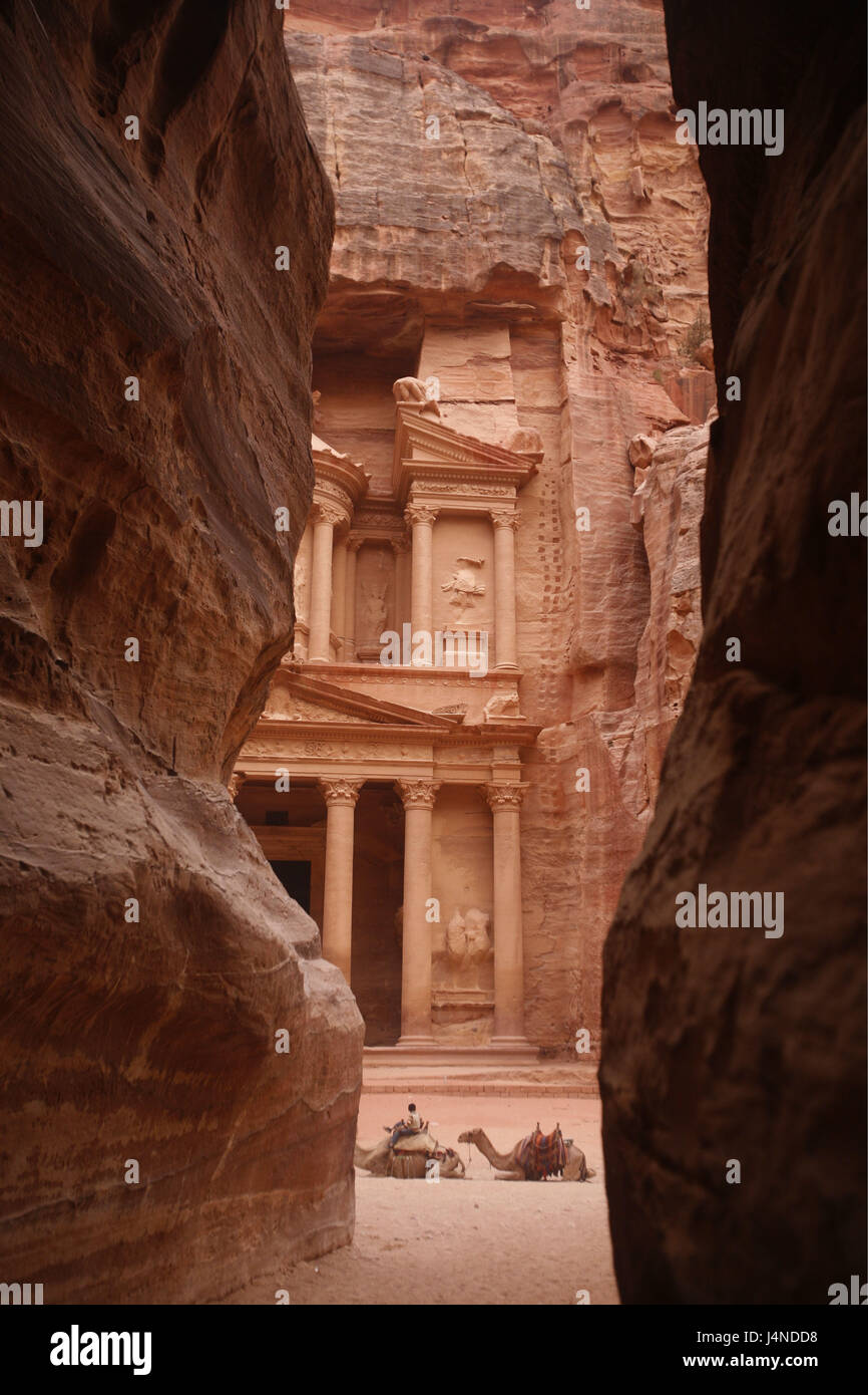 Le Moyen Orient, la Jordanie, Petra, maison du trésor, chameaux, Banque D'Images