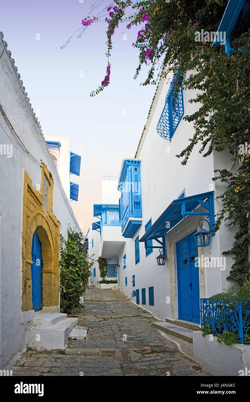 La Tunisie, Sidi Bou Said, Lane, façades, l'Afrique du Nord, place de l'artiste, village, lieu touristique, la destination, le lieu d'intérêts, du tourisme, rue, maisons, façades, portes, fenêtres, bleu, blanc, personne, déserte, Banque D'Images
