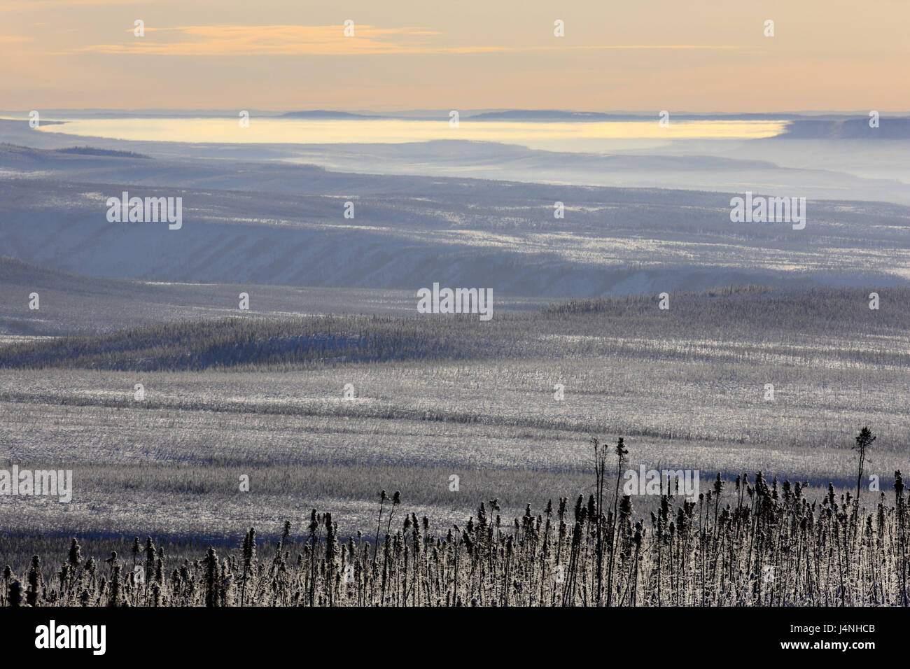 Amérique du Nord, le Canada, le Yukon, l'Eagle Plains, Dempster, la Harde de plateau, paysage d'hiver, Banque D'Images