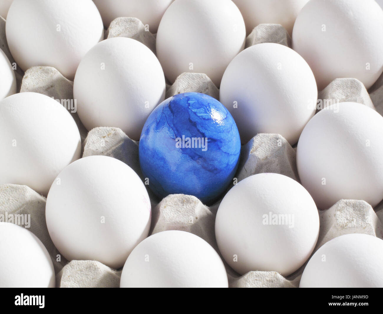 Pâques, boîte à œufs, œufs, œufs de Pâques, blanc, bleu, carton, oeufs, volaille, oeufs, nombre énorme, oeuf, tintedly, colorés, conception, différence, la couleur, l'outsider, personne, à se démarquer, take off, d'une manière différente, Banque D'Images Pâques, boîte à œufs, œufs, œufs de Pâques, blanc, bleu, carton, oeufs, volaille, oeufs, nombre énorme, oeuf, tintedly, colorés, conception, différence, la couleur, l'outsider, personne, à se démarquer, take off, d'une manière différente, Banque D'Images