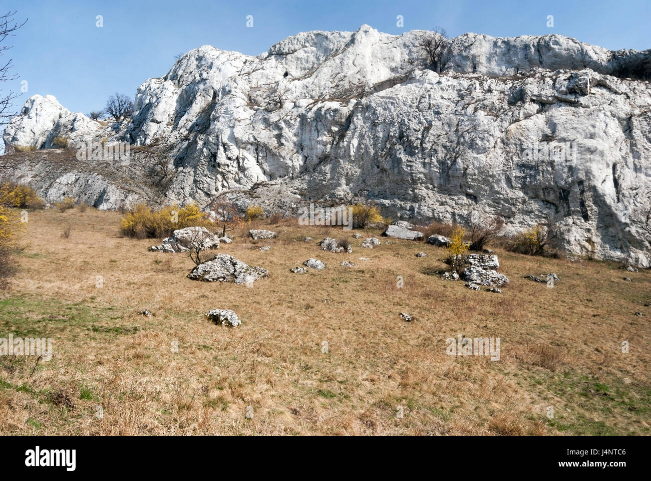 Npr printemps devin - kotel - souteska inpalava montagnes en Moravie du sud avec prairie, plantes à fleurs cornus mas, roches calcaires et clear sky Banque D'Images