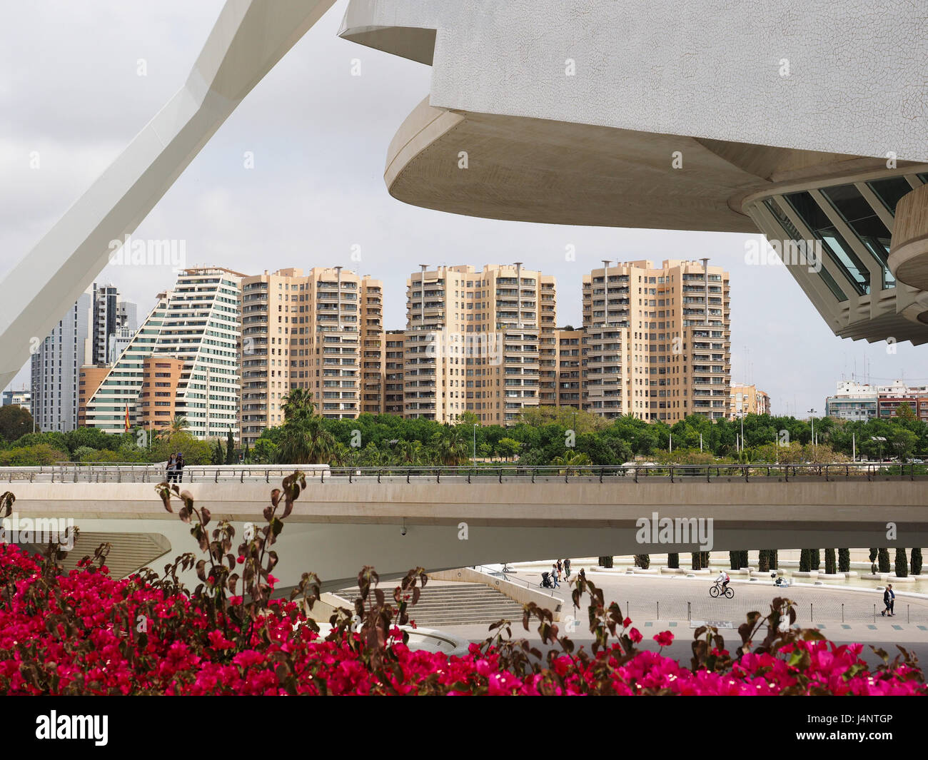 Une architecture Calatrava Reine Sofia Palais des Arts au centre culturel de la Cité des Arts et des sciences à Valence en Espagne Banque D'Images