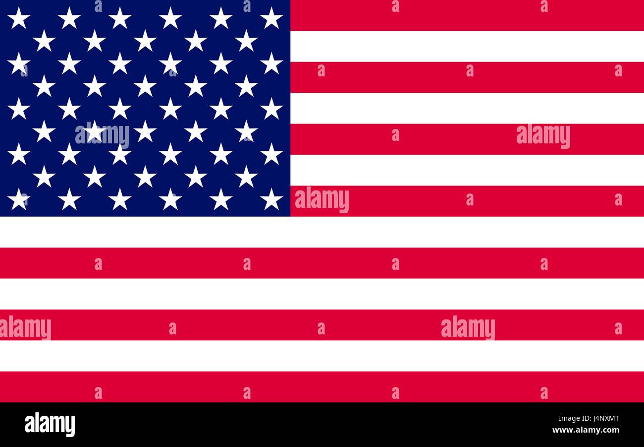 Drapeau américain symbole officiel de le vecteur d'état Illustration de Vecteur
