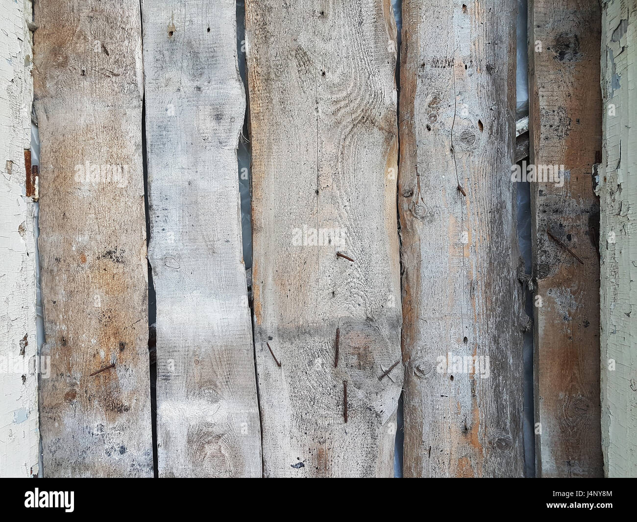 Les planches de bois naturel non rabotés couleur brun tendre, Rusty gros clous martelés dans eux, texture de fond designer moderne, avec l'espace vide pour t Banque D'Images