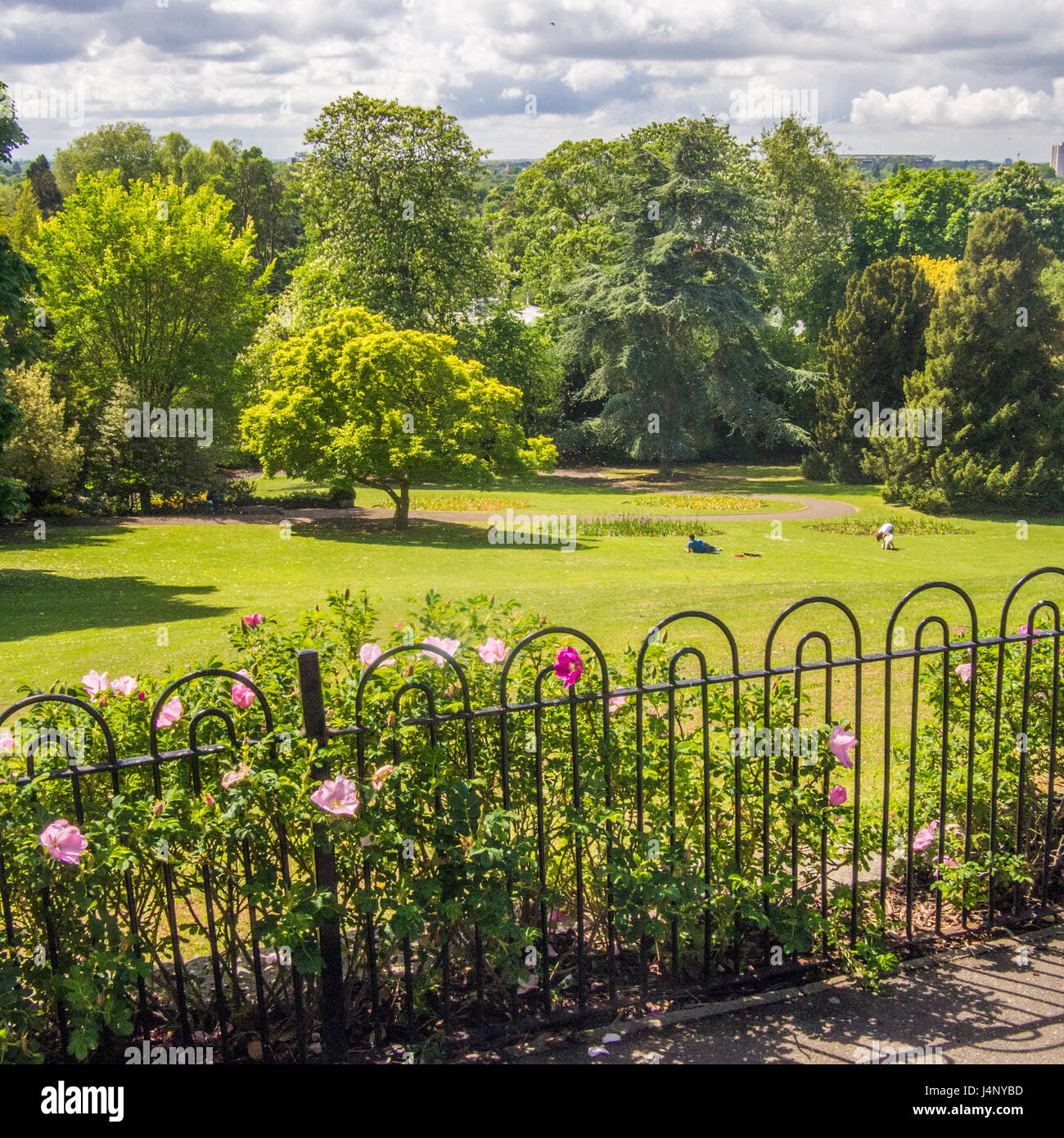 'Jardins en terrasse' dans Richmond, Londres Banque D'Images