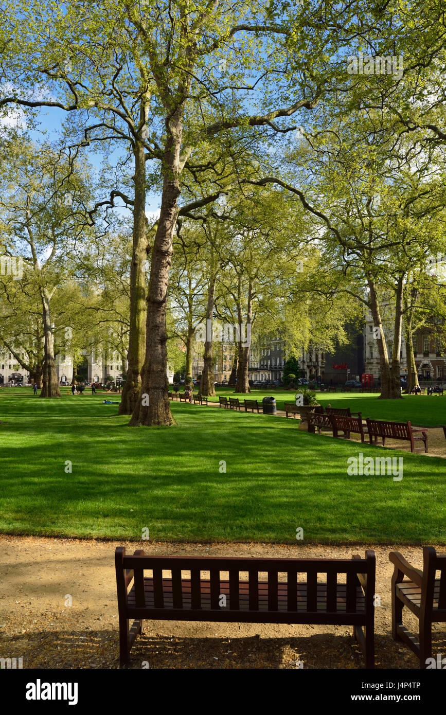 Berkeley Square, Mayfair, à l'ouest de Londres, Royaume-Uni Banque D'Images