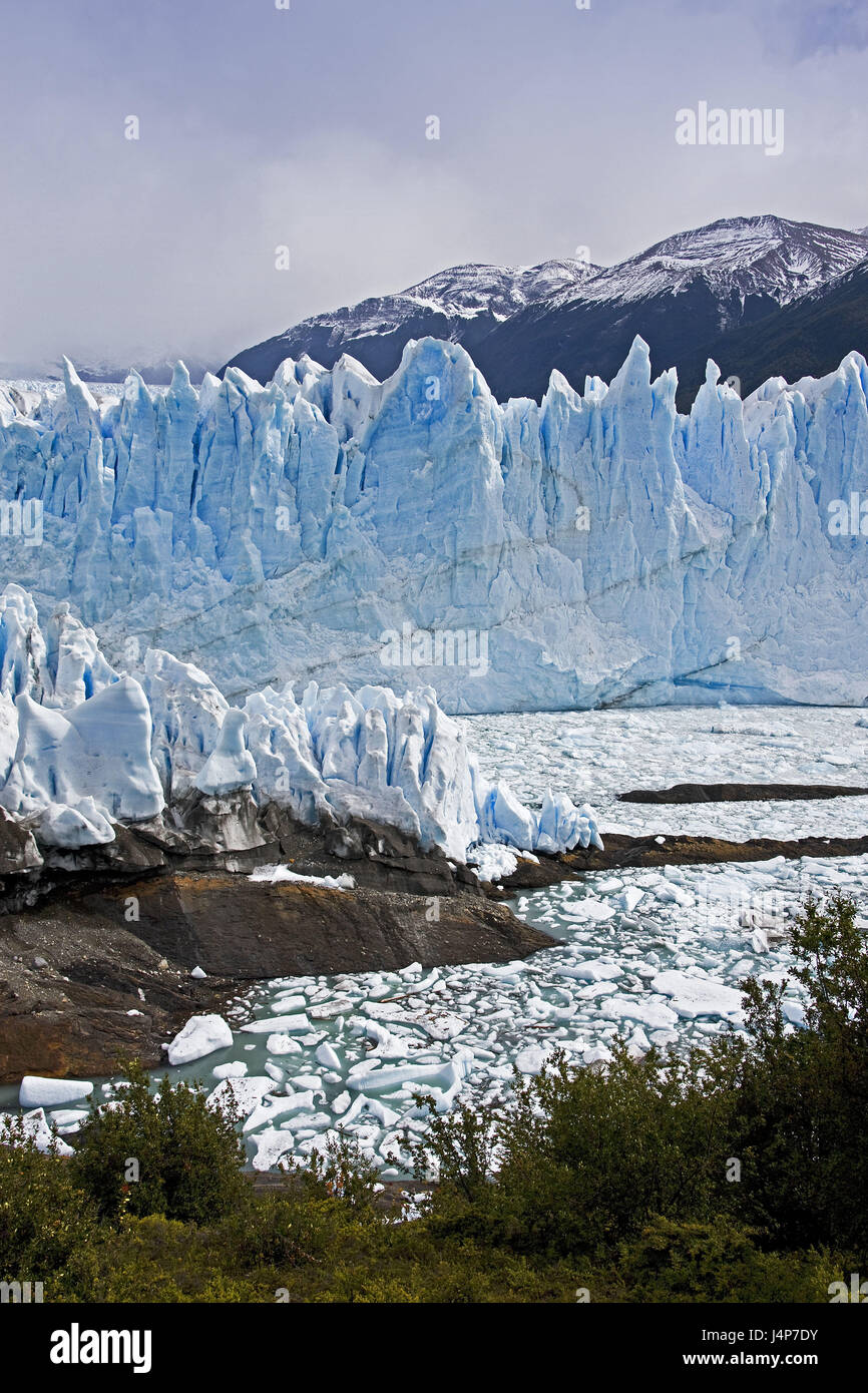 L'Argentine, Patagonie, Lago Argentino, Glaciar Perito Moreno Glacier, langue, escarpe, Banque D'Images