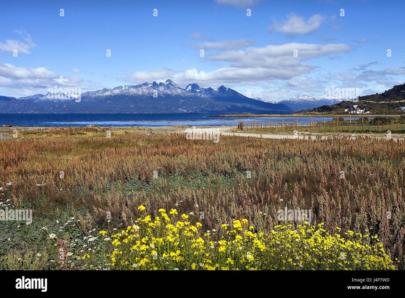 Tierra del Banque de photographies et d’images à haute résolution Alamy — free download