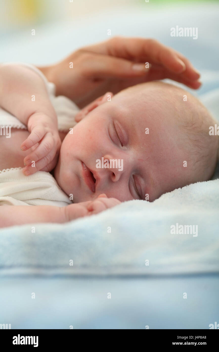 Bébé, 1 mois, le sommeil, la main de femme avc, portrait, flou, modèle sorti, gens, femme, mère, enfant, main, nourrisson, nouveau-né, intérieur, mensonge, soins, avec méfiance, la sécurité, l'amour, Banque D'Images
