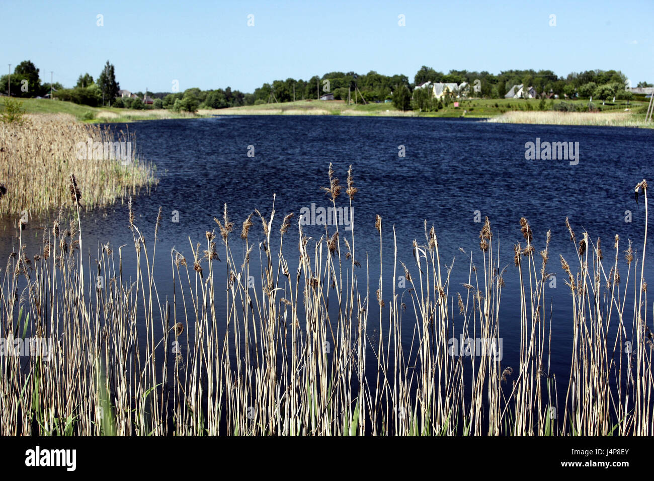 La Lituanie, Vilnius, région du lac, paysage, village, Banque D'Images