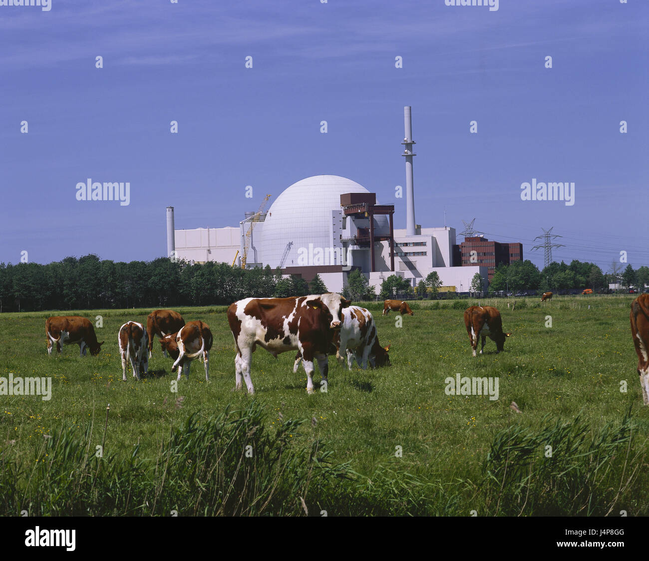 Allemagne, Schleswig - Holstein, village Brok, centrale nucléaire, les pâturages, les vaches, l'énergie, la production d'électricité, le courant, la production actuelle, l'industrie, de l'économie industrielle, l'attachement, power station, KKW, danger, risque, l'énergie nucléaire, l'énergie nucléaire, centrale nucléaire, l'industrialisation, l'agriculture, les animaux, un pré, Banque D'Images Allemagne, Schleswig - Holstein, village Brok, centrale nucléaire, les pâturages, les vaches, l'énergie, la production d'électricité, le courant, la production actuelle, l'industrie, de l'économie industrielle, l'attachement, power station, KKW, danger, risque, l'énergie nucléaire, l'énergie nucléaire, centrale nucléaire, l'industrialisation, l'agriculture, les animaux, un pré, Banque D'Images