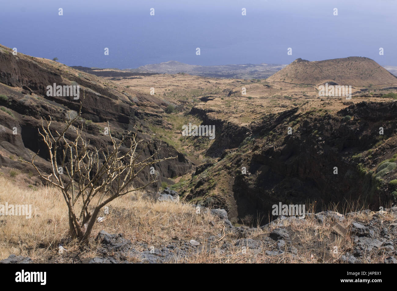 Fogo volcan Pico e, paysage, Fogo, Kapverden, Banque D'Images