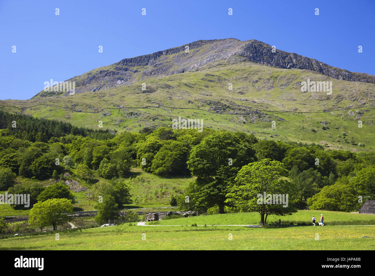 Pays de Galles, Gwynedd, parc national de Snowdonia, meadow, Beddgelert, paysage de montagne, Banque D'Images