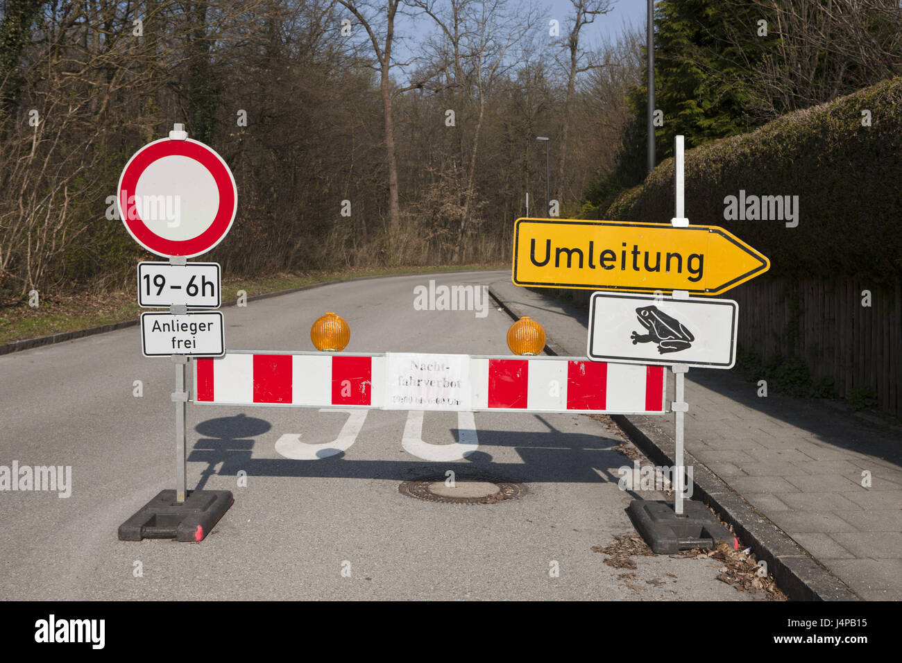 Bloc parce que la route de randonnée pédestre, crapaud Bufo bufo, Allemagne, Munich, Bavaria, Banque D'Images