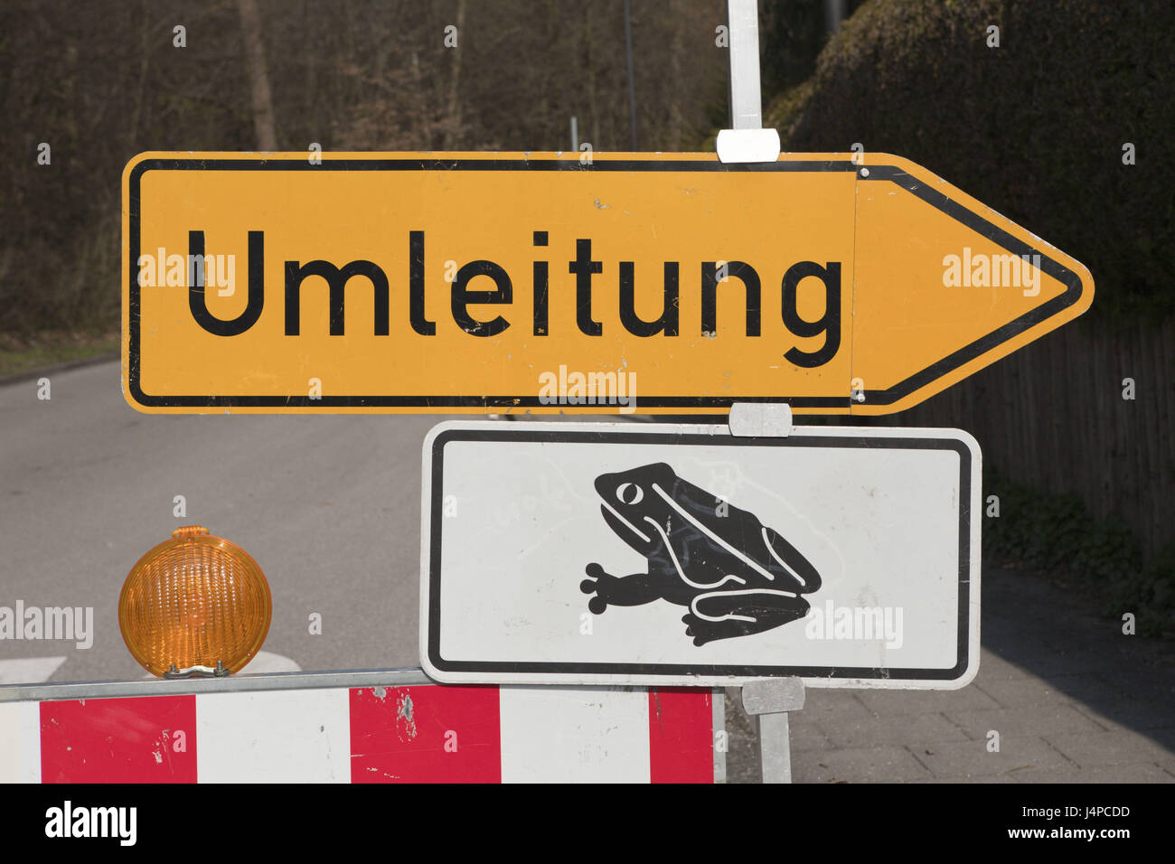 Bloc parce que la route de randonnée pédestre, crapaud Bufo bufo, Allemagne, Munich, Bavaria, Banque D'Images