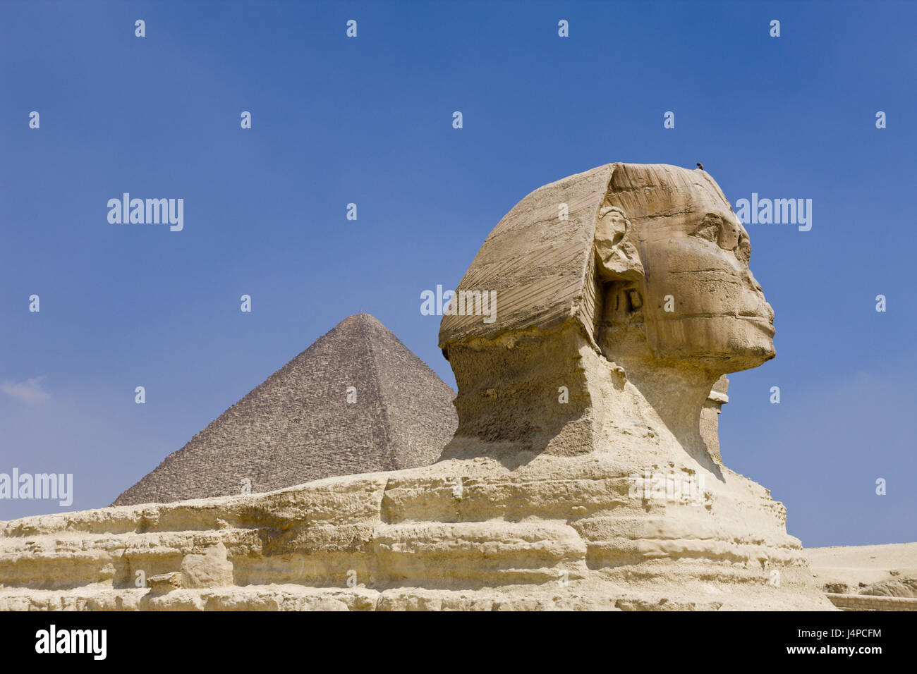 Grand Sphinx de Gizeh Pyramide de Khéops avant, l'Égypte, Le Caire, Banque D'Images