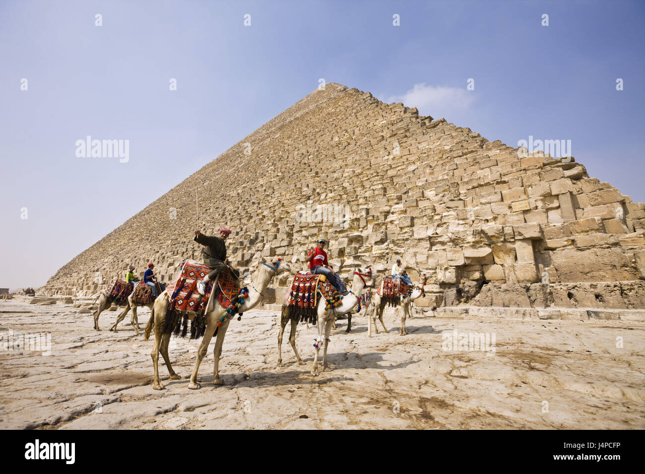 Chamelier avant Khéops Pyramide, en Egypte, Le Caire, Banque D'Images